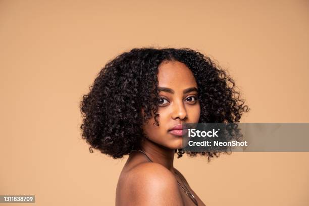 Beautiful Black Woman Beauty Portrait Of African American Woman