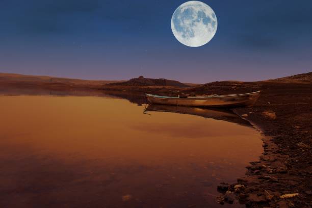 istock Nature and wallpaper 1311839605