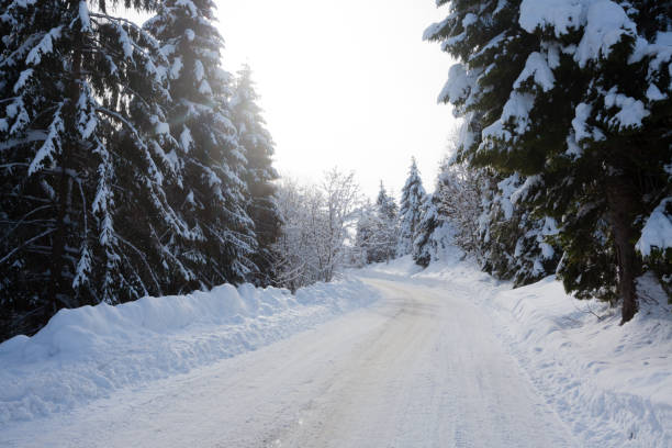 istock Winter landscape, road covered by snow 1311839832