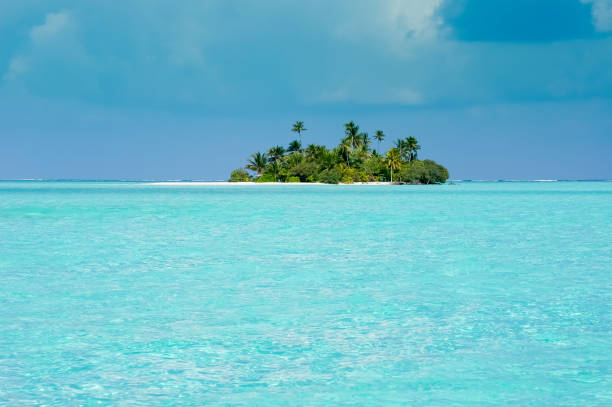 istock Uninhabited tropical island with palm trees. 1311844341