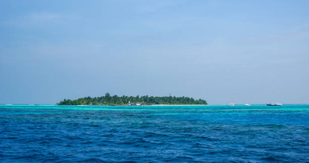 istock Uninhabited tropical island with palm trees. 1311844346