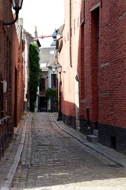 istock Sightseeing in Ghent 1311845094