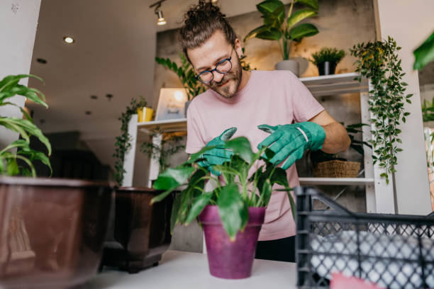 istock Time for little house gardening 1311848145