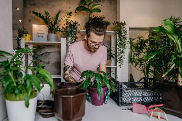 istock Time for little house gardening 1311848163
