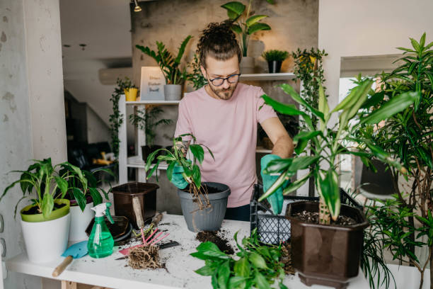 istock Time for little house gardening 1311848203