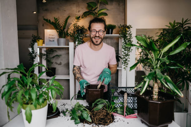 istock Time for little house gardening 1311848204