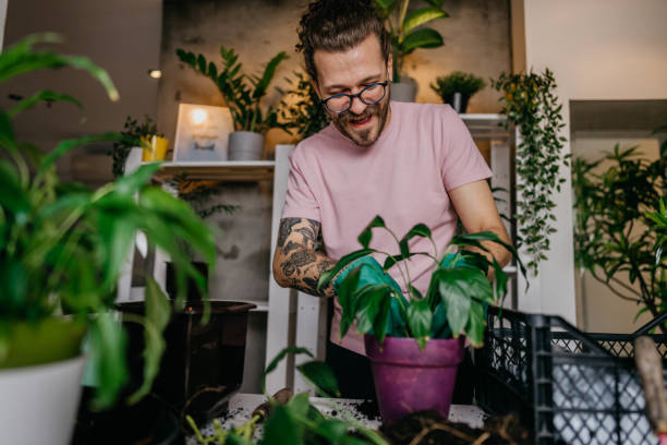 istock Time for little house gardening 1311848225