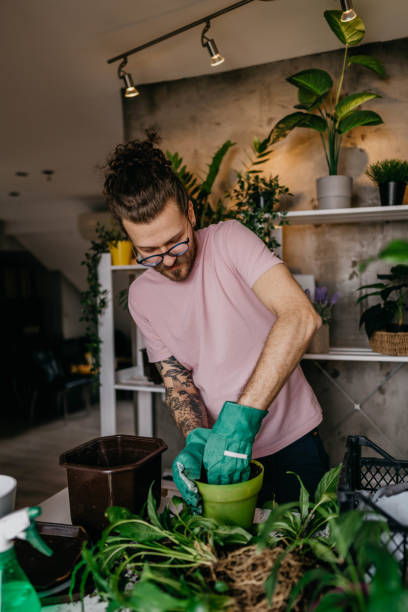 istock Time for little house gardening 1311848228