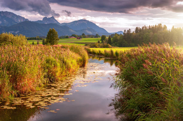 Hopfensee Achen Landscape Bavaria Germany