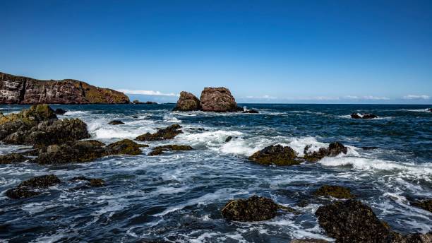 istock North Sea Coastline At Coldingham Harbour. 1311849374
