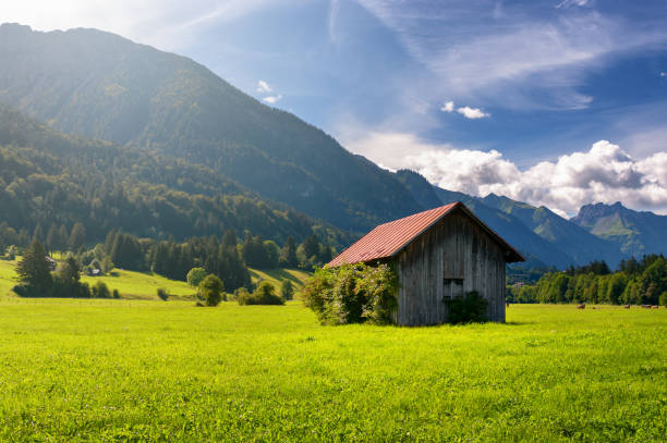 istock Old wooden alpine hut Bavaria Germany 1311849466