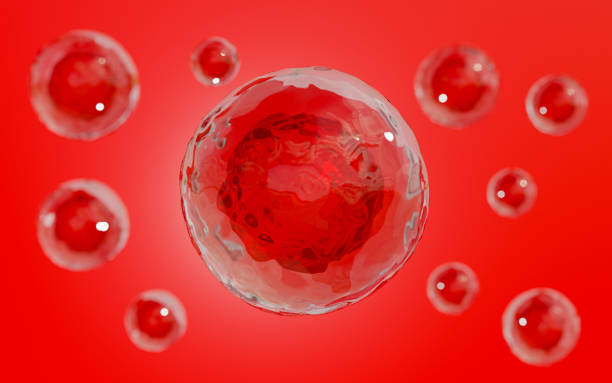 istock Embryonic stem cells,Red background, 3D illustration. 1311851521