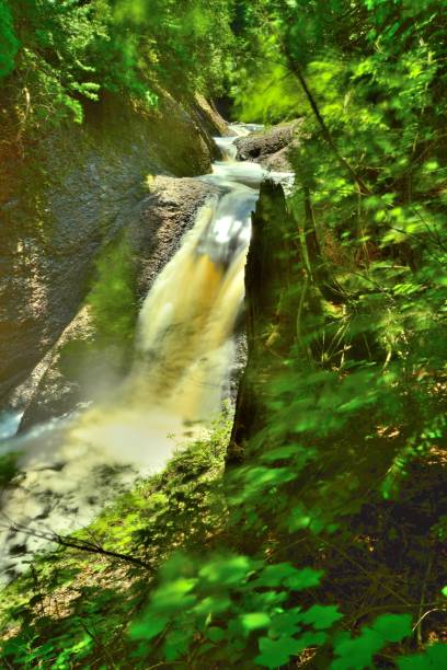 istock Upper Michigan Hidden Waterfall deep in the Woods 1311855064