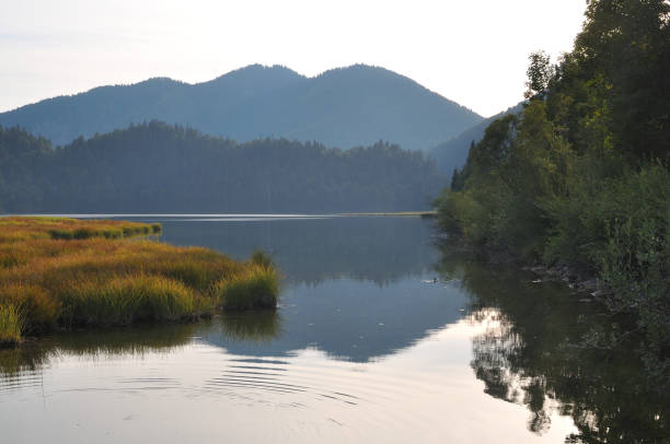 istock Peaceful scenery at swimming lake Weitsee, bavarian alps 1311856051