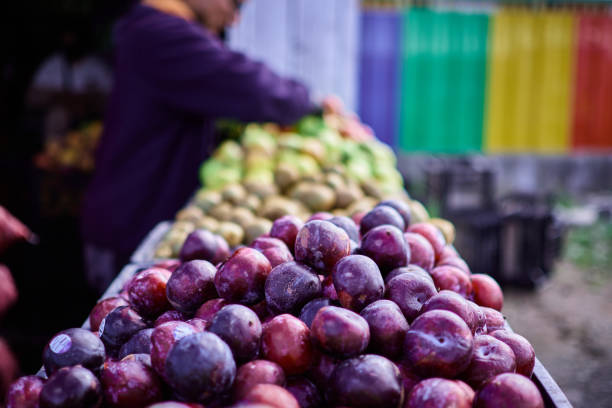 istock Shopping for Vegan food 1311857026