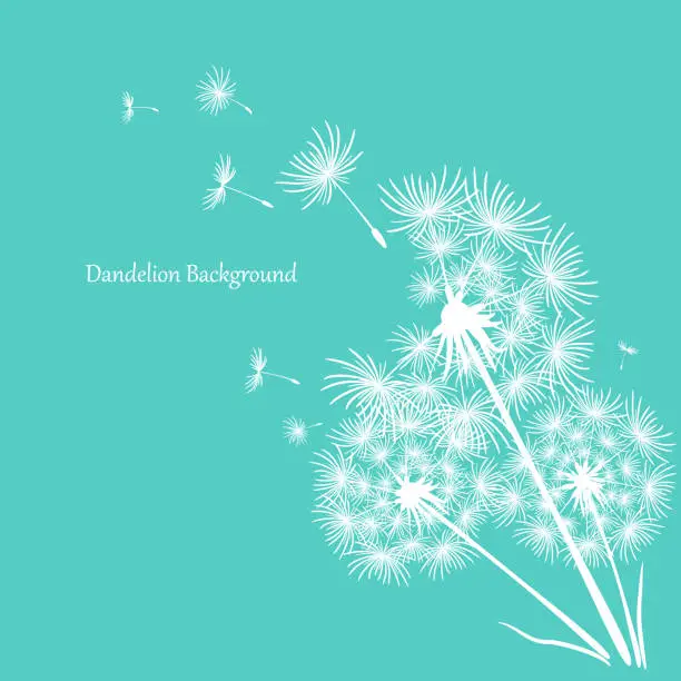 Vector illustration of Three white dandelions on a blue background. Minimalistic background for your design. Flying dandelion to heaven. Vector illustration.