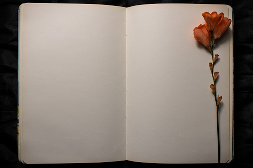 Top view of open book with orange freesia flower resting on top of empty blank pages on a black textured background. Empty space for text. Concept of nostalgia, sadness or remembrance