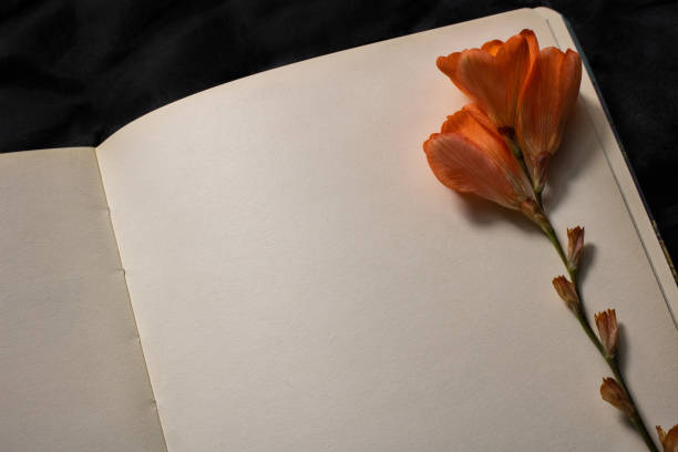 istock Orange flower on top of empty notebook page on black background 1311863825