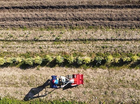 An aerial view of a farmer plowing in a farm field with a tractor.
