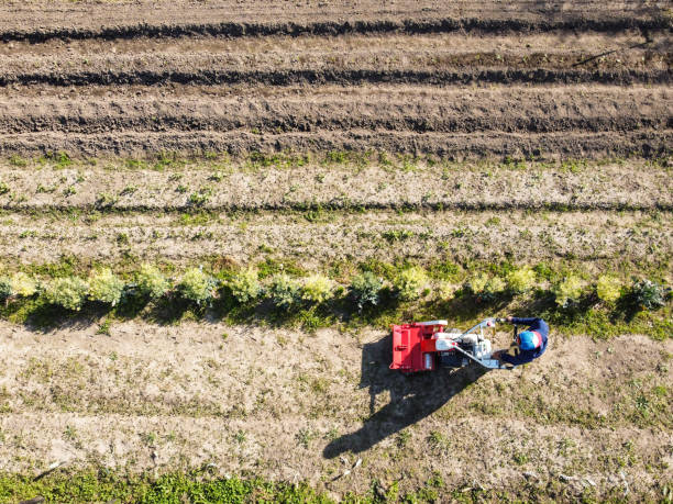 istock Drone view of a farmer plowing a field 1311865546