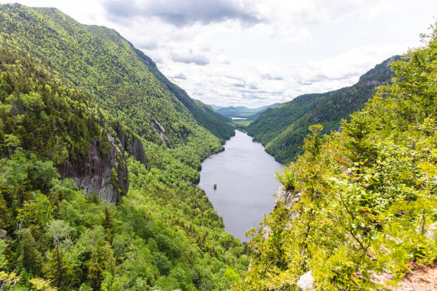 istock high angle view of a lake with trees around 1311870375