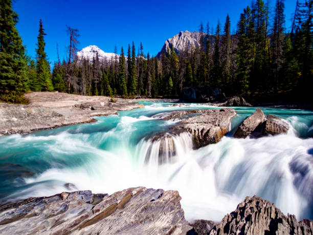 istock river flowing down the mountain with rocks 1311871093