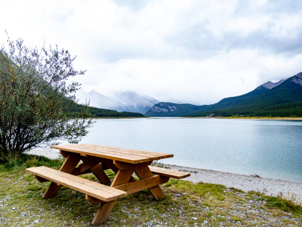 istock view of a lakeshore with picnic table 1311871095