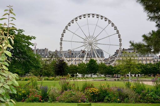 Stunning shot of the Ferris Wheel in Paris, France, taken in 2014.