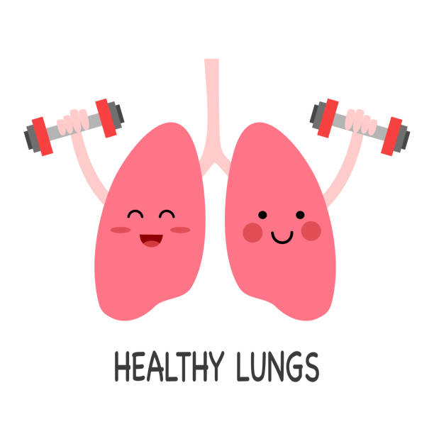 Ilustración de Lindos Pulmones Ejercicio De Dibujos Animados Con Mancuernas En Diseño Plano Sobre Fondo Blanco Fuerte Concepto De Pulmones Sanos y más Vectores Libres de Derechos de Pulmón - iStock Ilustración de Lindos Pulmones Ejercicio De Dibujos Animados Con Mancuernas En Diseño Plano Sobre Fondo Blanco Fuerte Concepto De Pulmones Sanos y más Vectores Libres de Derechos de Pulmón - iStock
