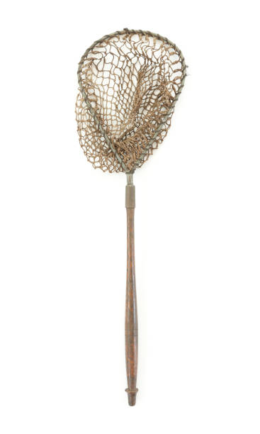 istock Vintage Minnow Fishing Net Isolated on White 1311880497