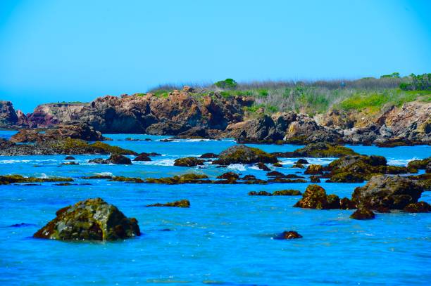 istock Rocky Central California Coastline 1311882885