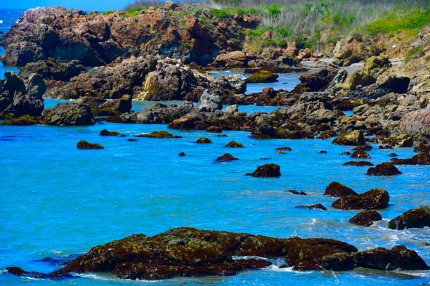 istock Rocky Central California Coastline 1311883594