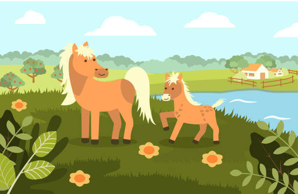 ilustraciones, imágenes clip art, dibujos animados e iconos de stock de un caballo con un potro sobre el fondo de un paisaje rural en un estilo plano. ilustración vectorial - colts