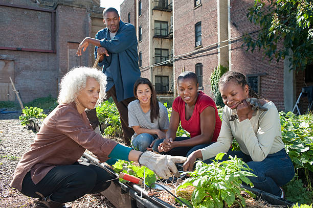 group working in an urban organic community garden - müşterek bahçe stok fotoğraflar ve resimler