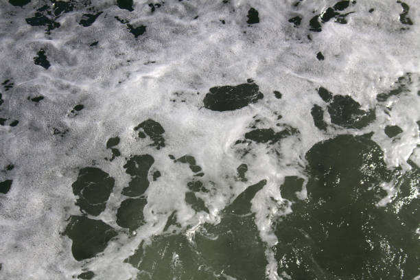 istock Seafoam, 1st Baron Seafoam 1311892276