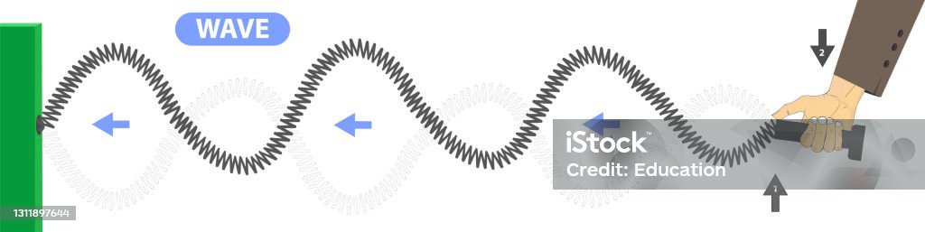 물리학 봄이 뻗어 횡파 경도의 던지기와 주기적인 파도 형성의 차이 세로 파 발생 주기적으로 생성된 횡파 물리학에 대한 스톡 벡터 ...