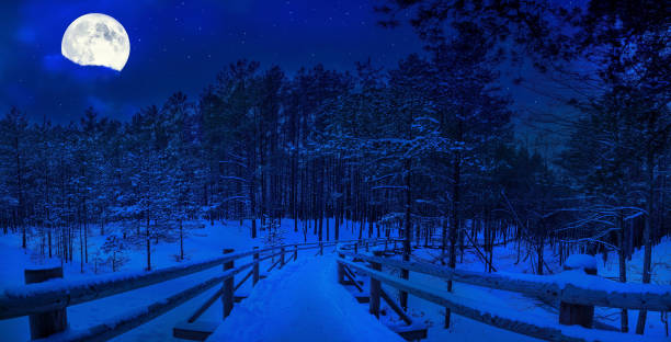 Magic starry night with full moon in winter forest