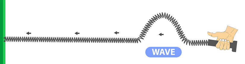 Physics Spring Stretched Transverse Waves Longitudinal The Difference ...