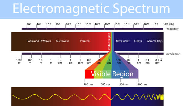 ilustrações de stock, clip art, desenhos animados e ícones de physics. electronic spectrum.  electronic spectrum. electromagnetic field of view. radio, infrared, ultraviolet, x rays, gamma rays - electromagnetic