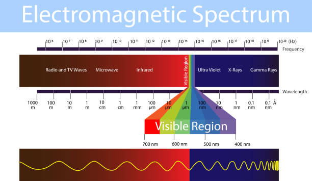 physics. electronic spectrum.  electronic spectrum. electromagnetic field of view. Radio, infrared, ultraviolet, X rays, gamma rays Physics class electromagnetic stock illustrations