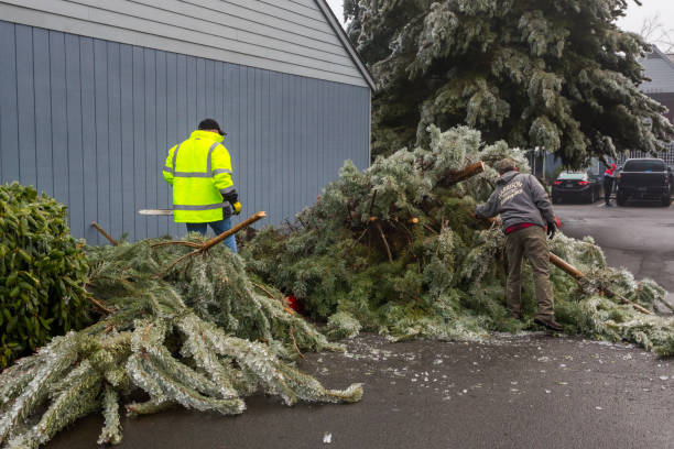 i lavoratori sgomberano un vialetto di rami ghiacciati caduti e alberi dopo una tempesta di ghiaccio in oregon - tree removing house damaged foto e immagini stock
