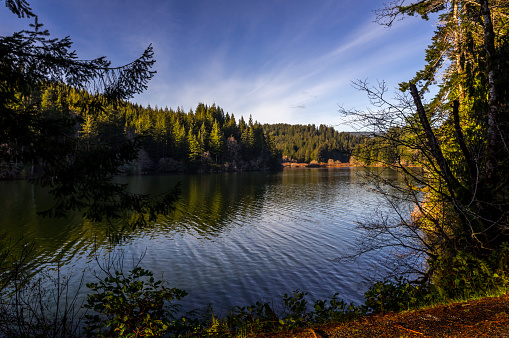 Mercer Lake is a water feature in Oregon and has an elevation of 33 feet