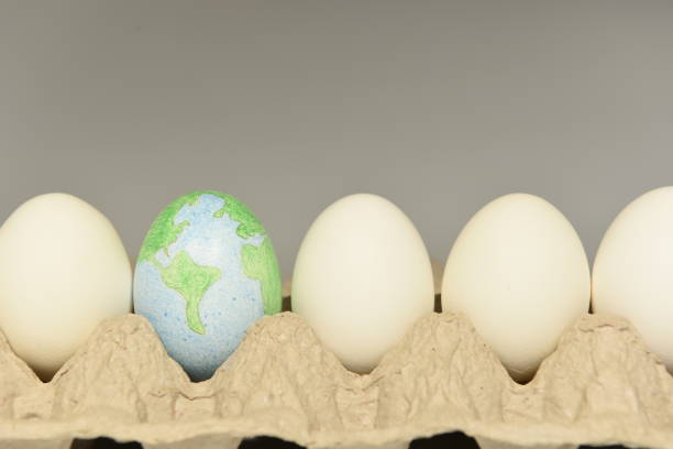 Earth, globe, world, planet illustration on an egg shell Illustration of earth on an egg shell.  Rows of eggs lined up in a corrugated egg tray. sabby stock pictures, royalty-free photos & images