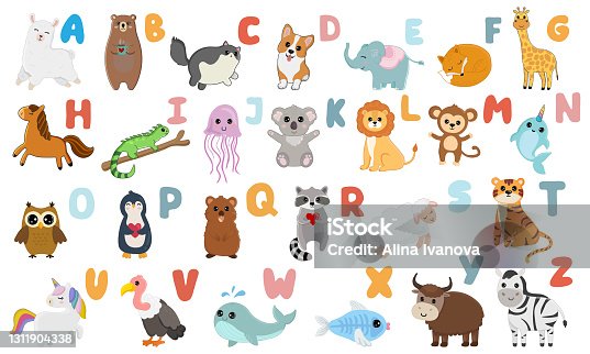 411 Alphabet Animals, Vulture Stock Photos, Pictures & Royalty-Free Images  - iStock