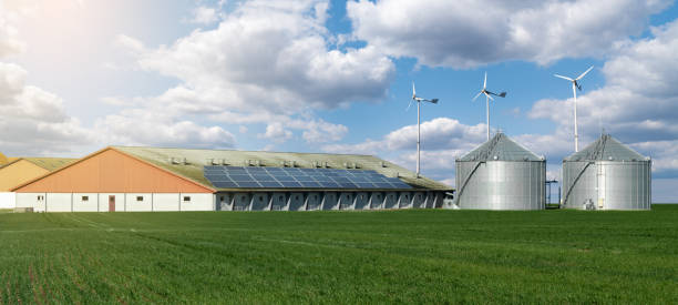 Modern dairy farm using renewable energy Modern dairy farm using renewable energy, solar panels and wind turbines dairy farm stock pictures, royalty-free photos & images