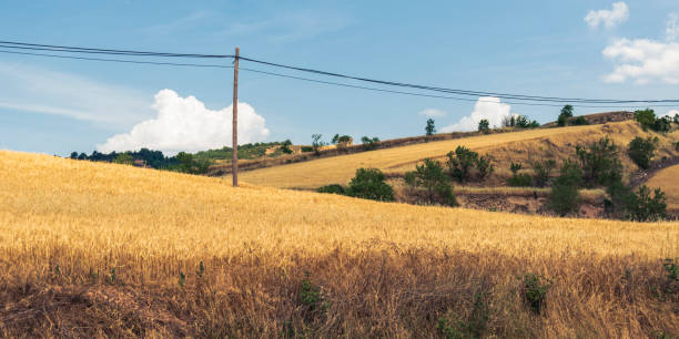 istock Spanish countryside landscape 1311908278