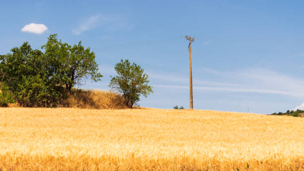 istock Spanish countryside landscape 1311908597
