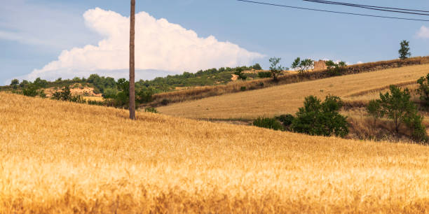 istock Spanish countryside landscape 1311908643
