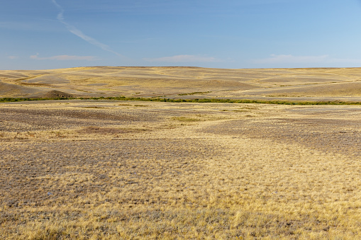 Steppe in Kazakhstan. Dry grass in the empty steppe. Kazakhstan landscape.