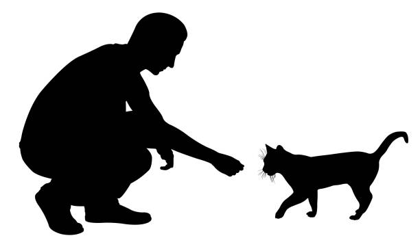 ilustraciones, imágenes clip art, dibujos animados e iconos de stock de hombre de alimentación gato - crouching silhouette men people